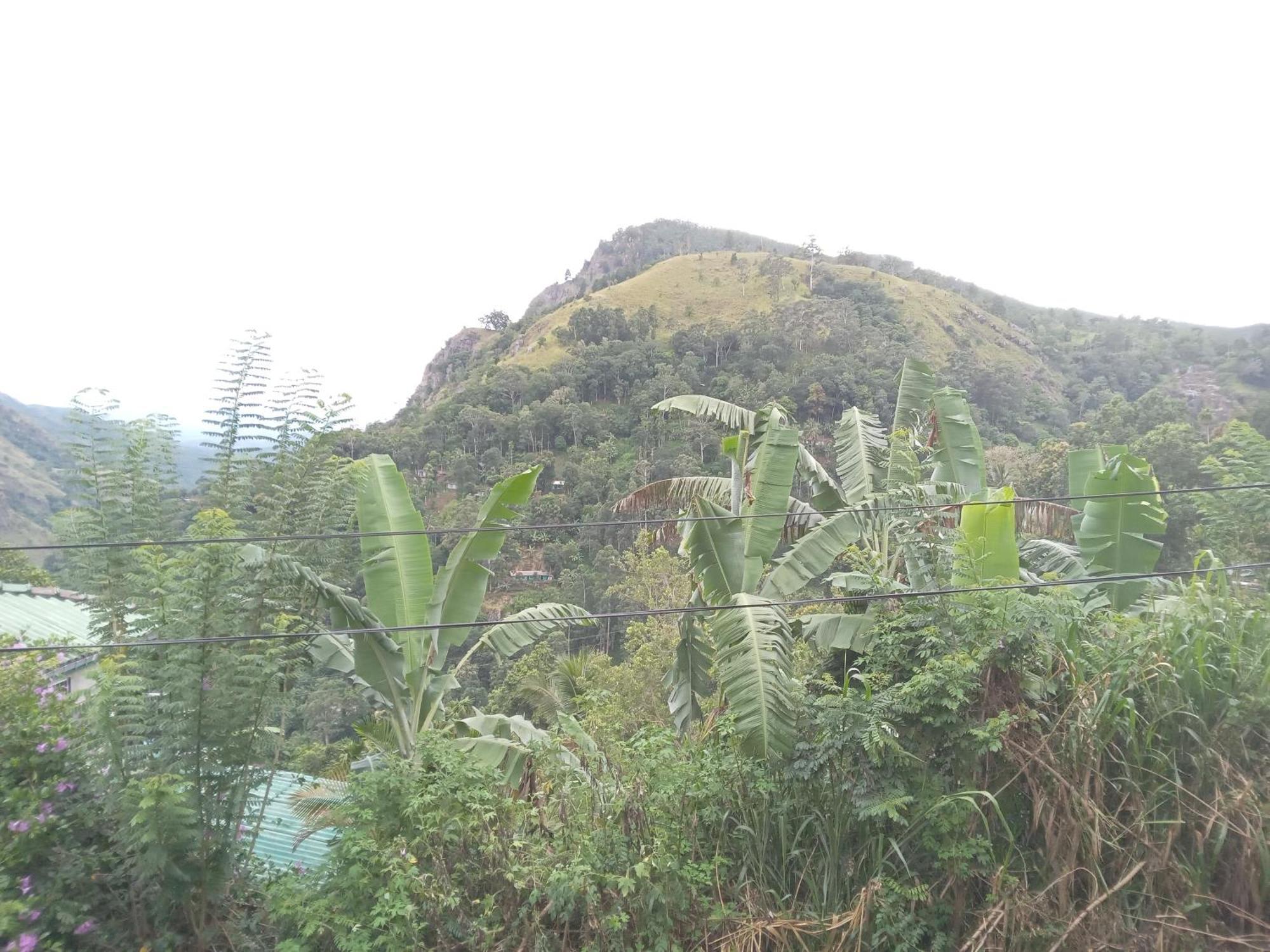 إيلا فندق Chamodya Home Stay المظهر الخارجي الصورة