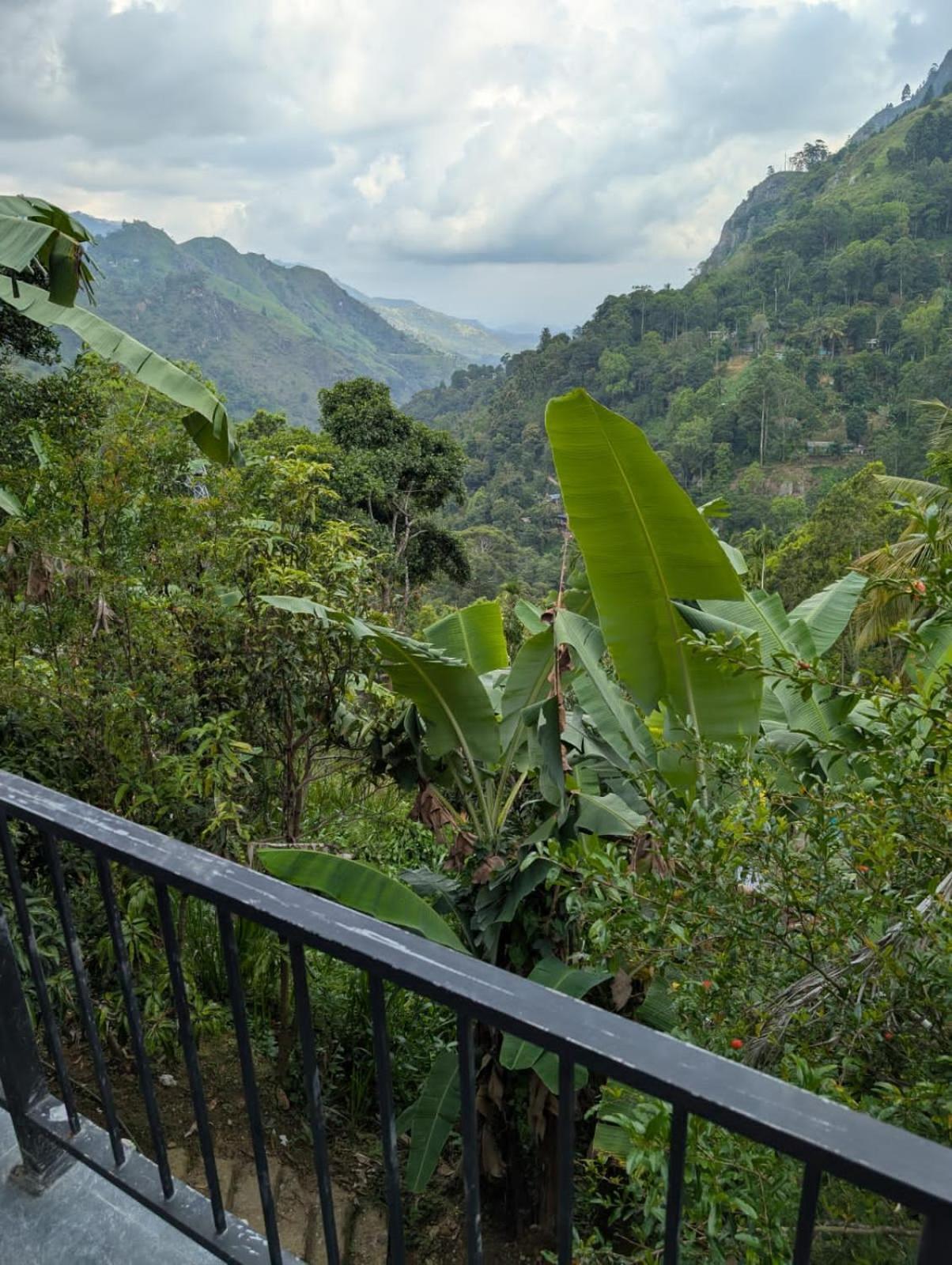 إيلا فندق Chamodya Home Stay المظهر الخارجي الصورة